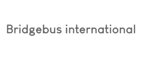 Bridgebus international